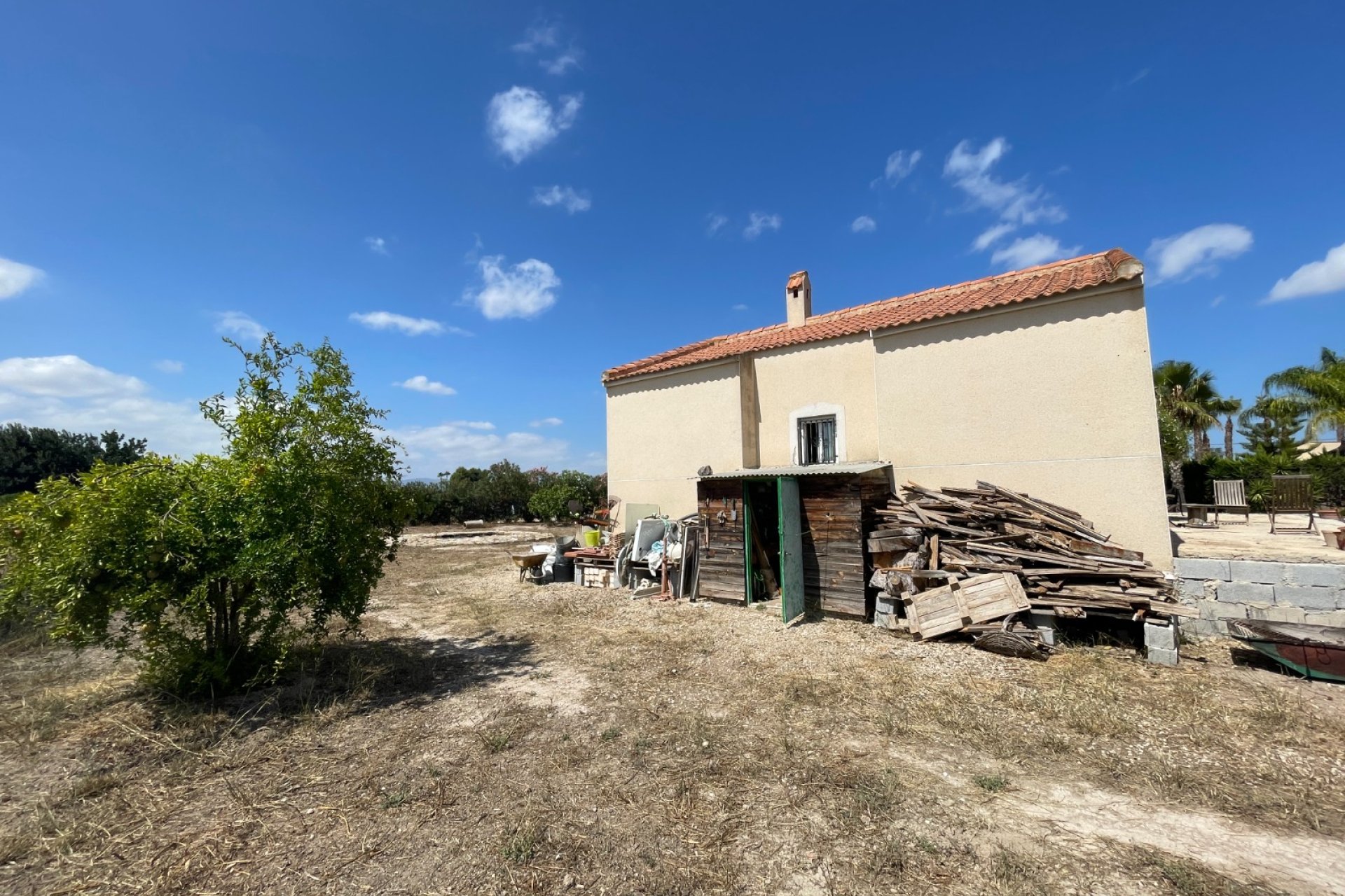 Verkauf - Finca / Country Property - Benejuzar - Comunidad Valenciana