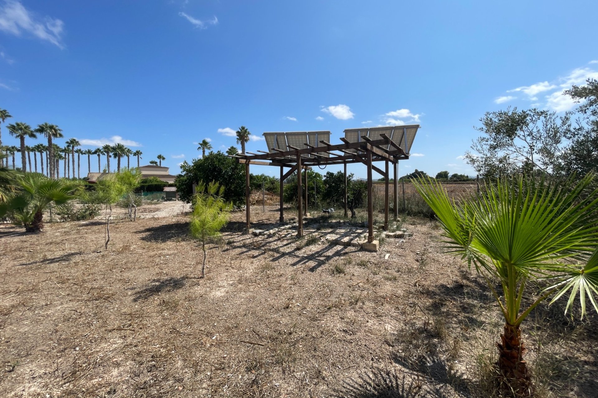 Verkauf - Finca / Country Property - Benejuzar - Comunidad Valenciana