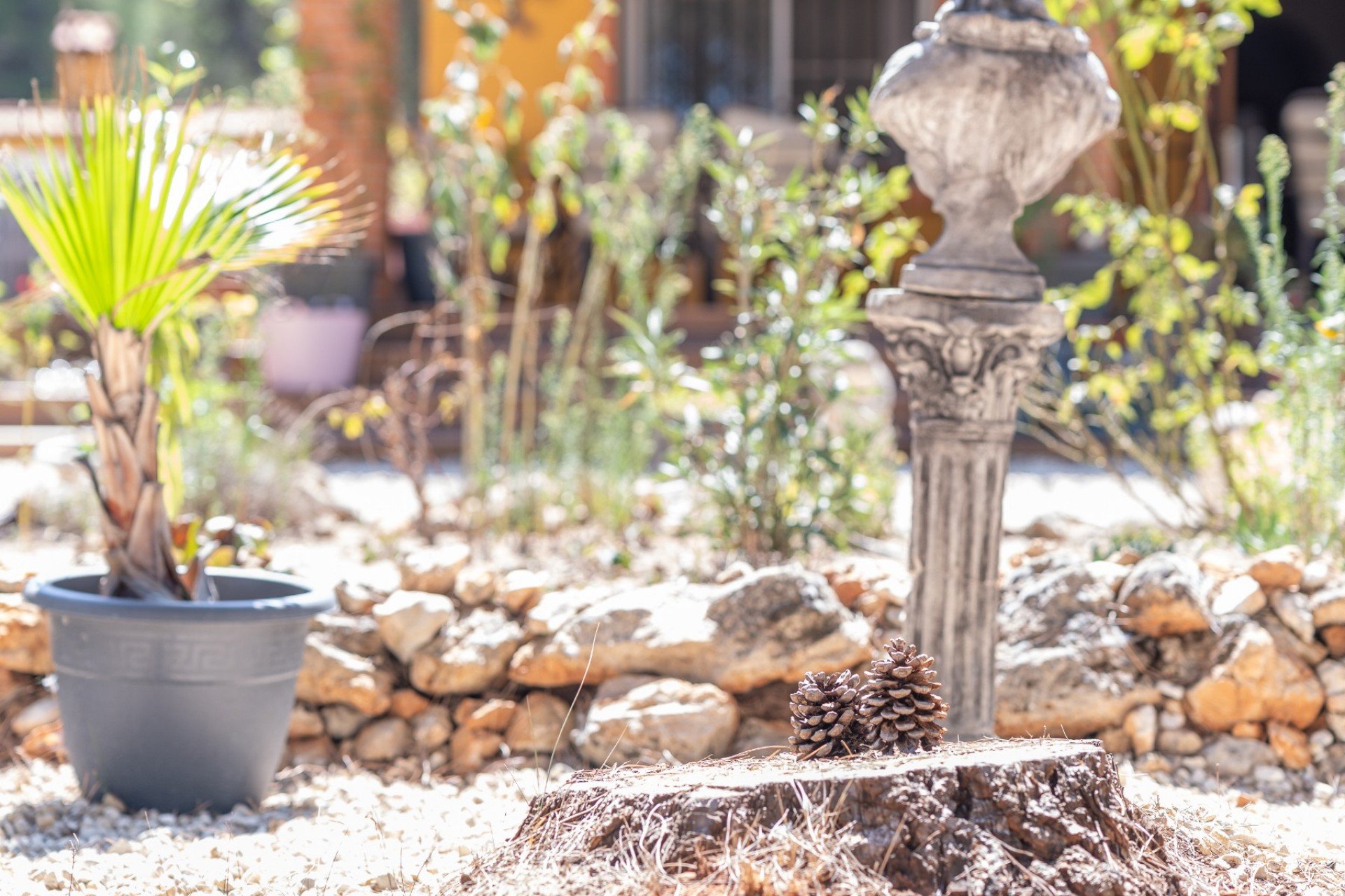 Verkauf - Finca / Country Property - Bocairent - Inland