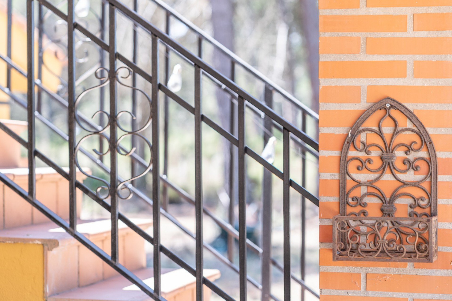 Verkauf - Finca / Country Property - Bocairent - Inland