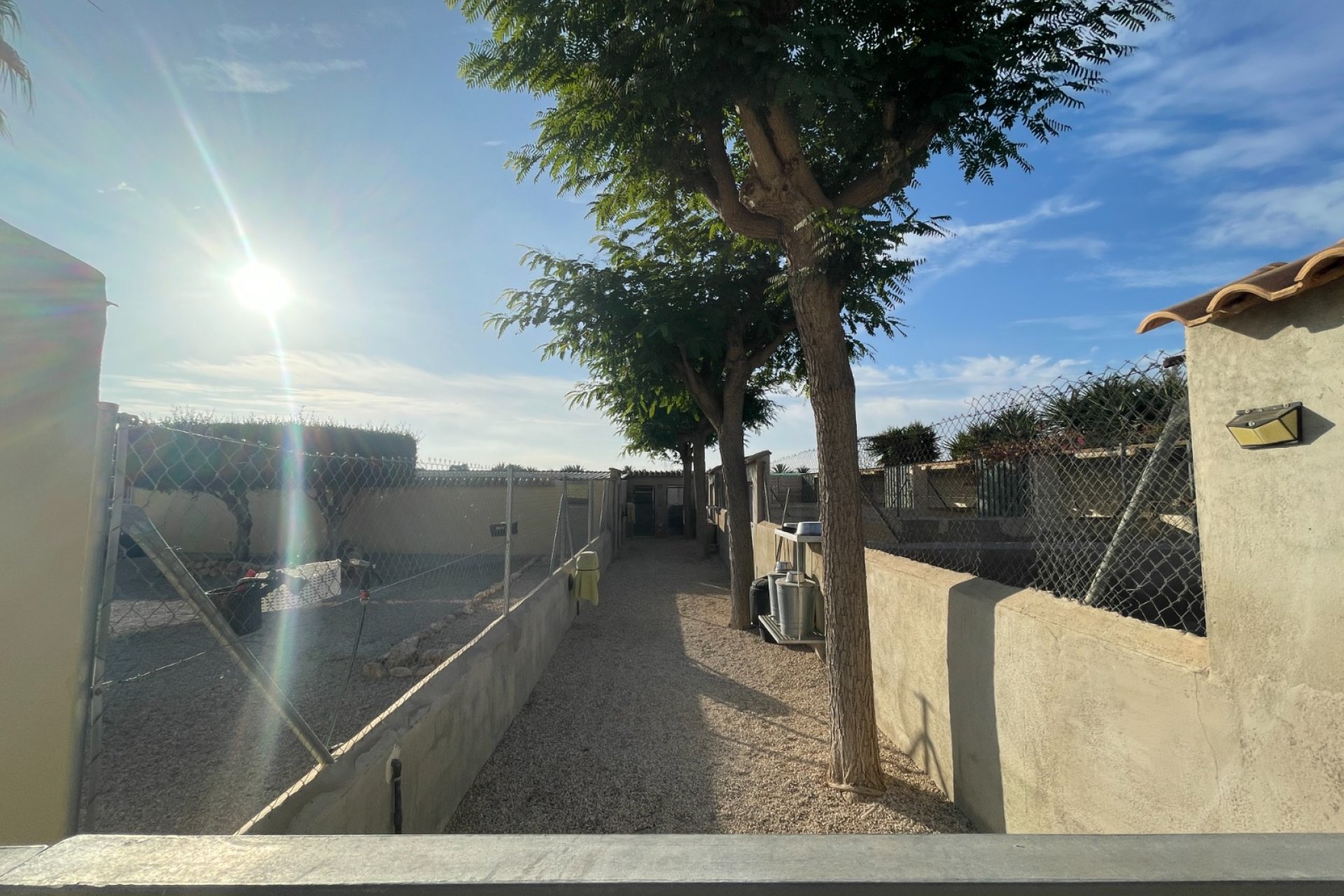 Verkauf - Finca / Country Property - Elche - Las Bayas