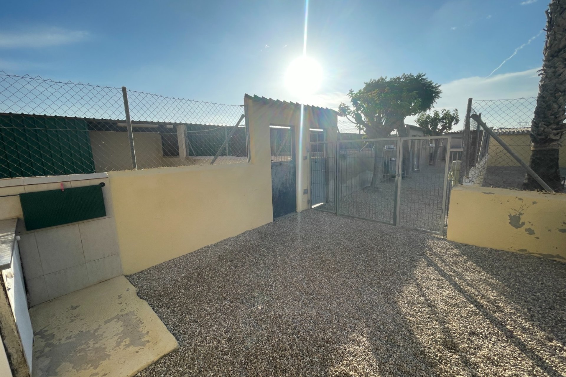 Verkauf - Finca / Country Property - Elche - Las Bayas