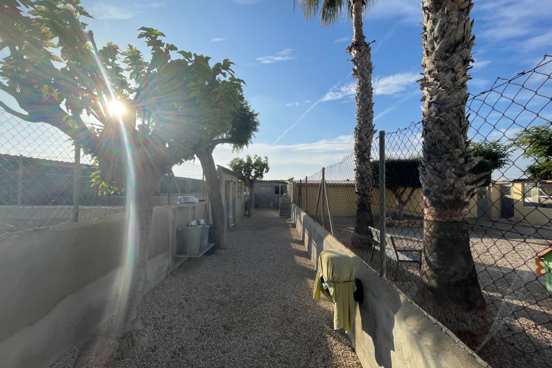 Verkauf - Finca / Country Property - Elche - Las Bayas