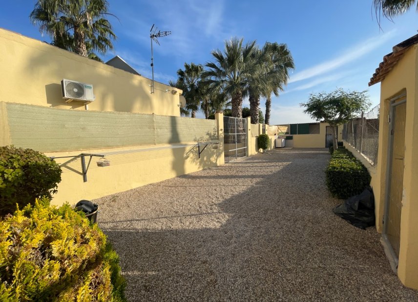 Verkauf - Finca / Country Property - Elche - Las Bayas