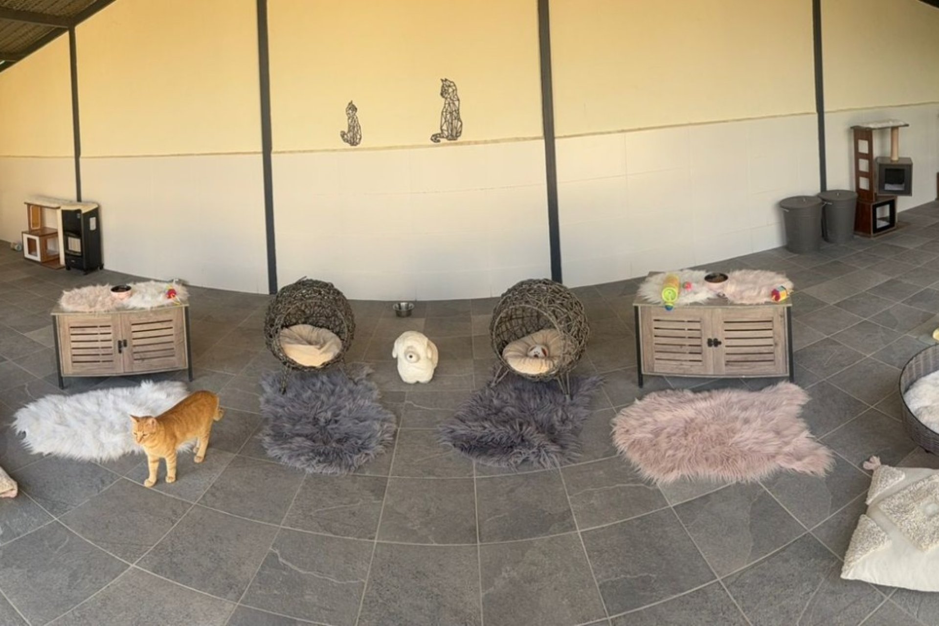 Verkauf - Finca / Country Property - Elche - Las Bayas