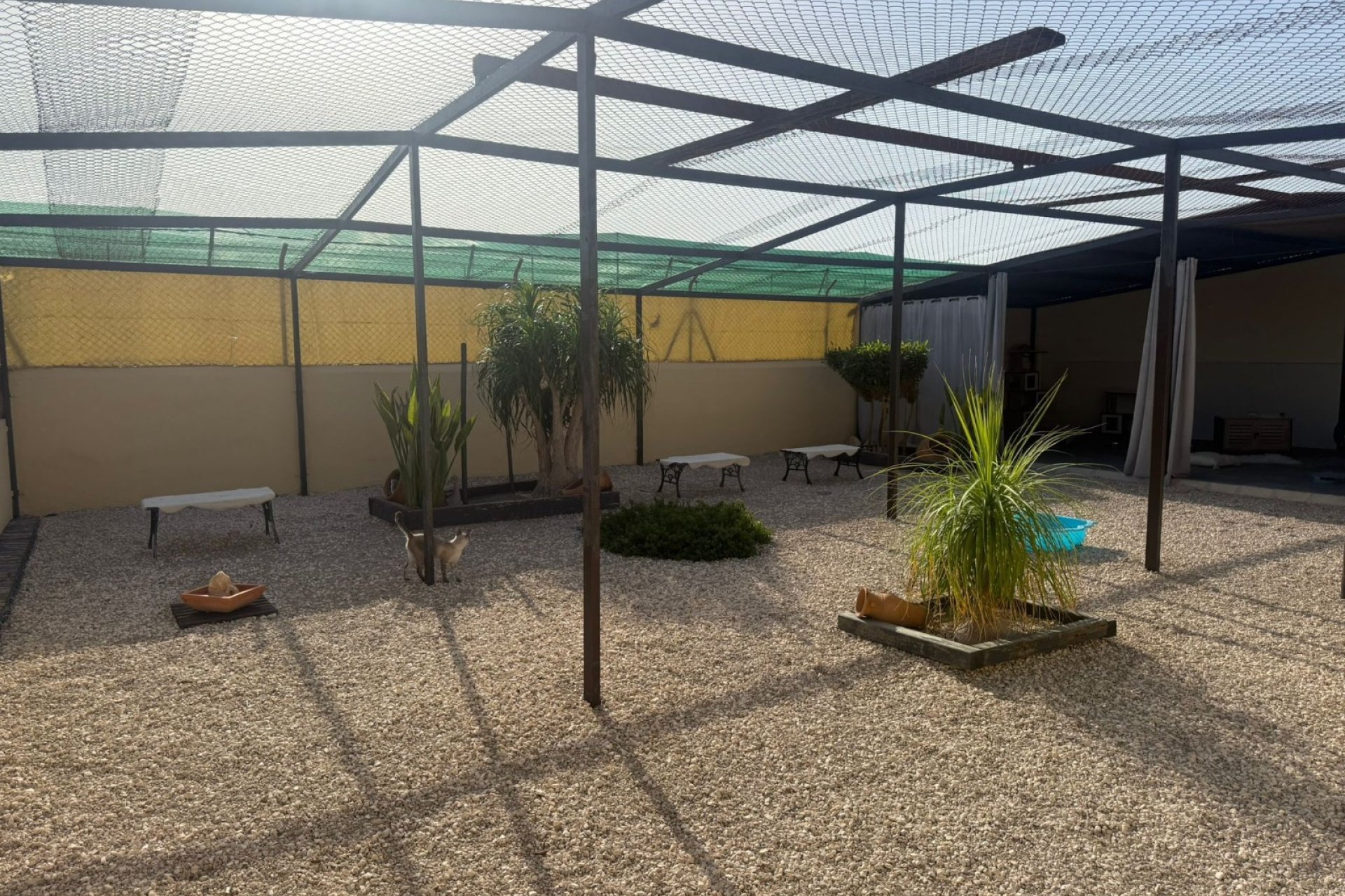 Verkauf - Finca / Country Property - Elche - Las Bayas