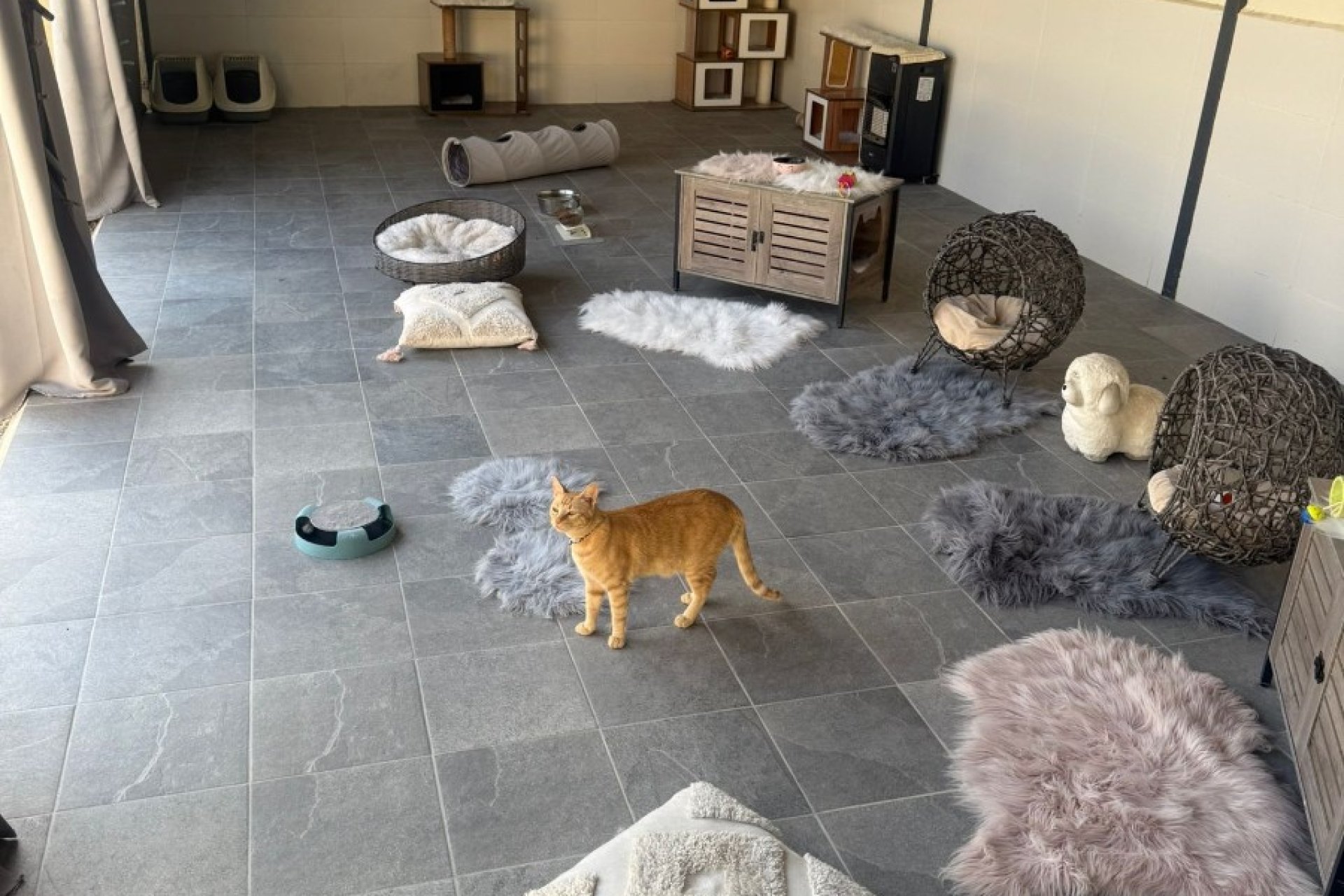 Verkauf - Finca / Country Property - Elche - Las Bayas