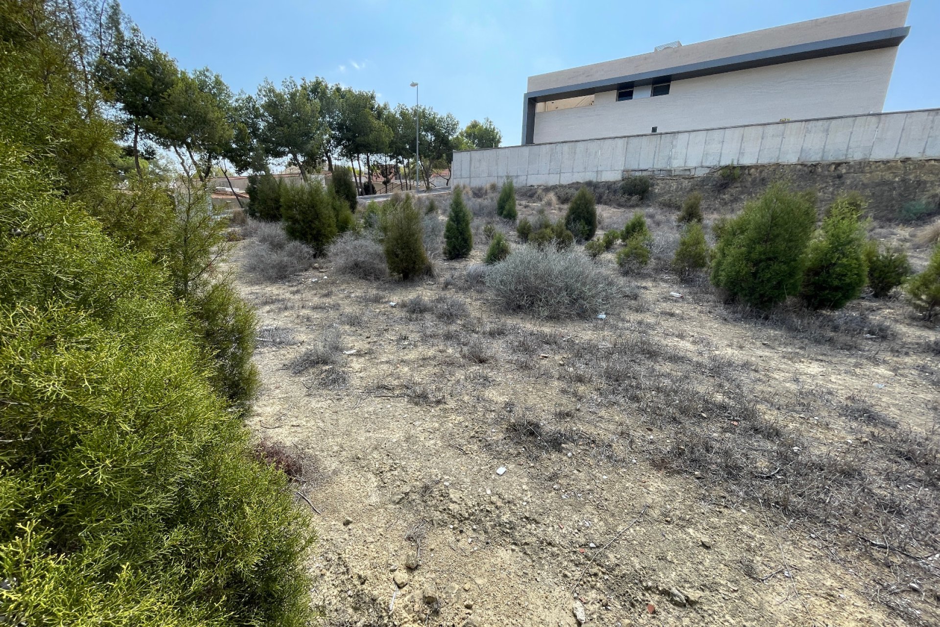 Verkauf - Grundstück - Ciudad Quesada - Benimar