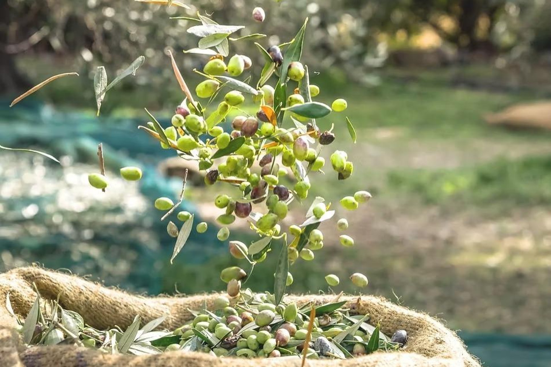 Verkauf - Grundstück - Murcia - Rincón de Seca
