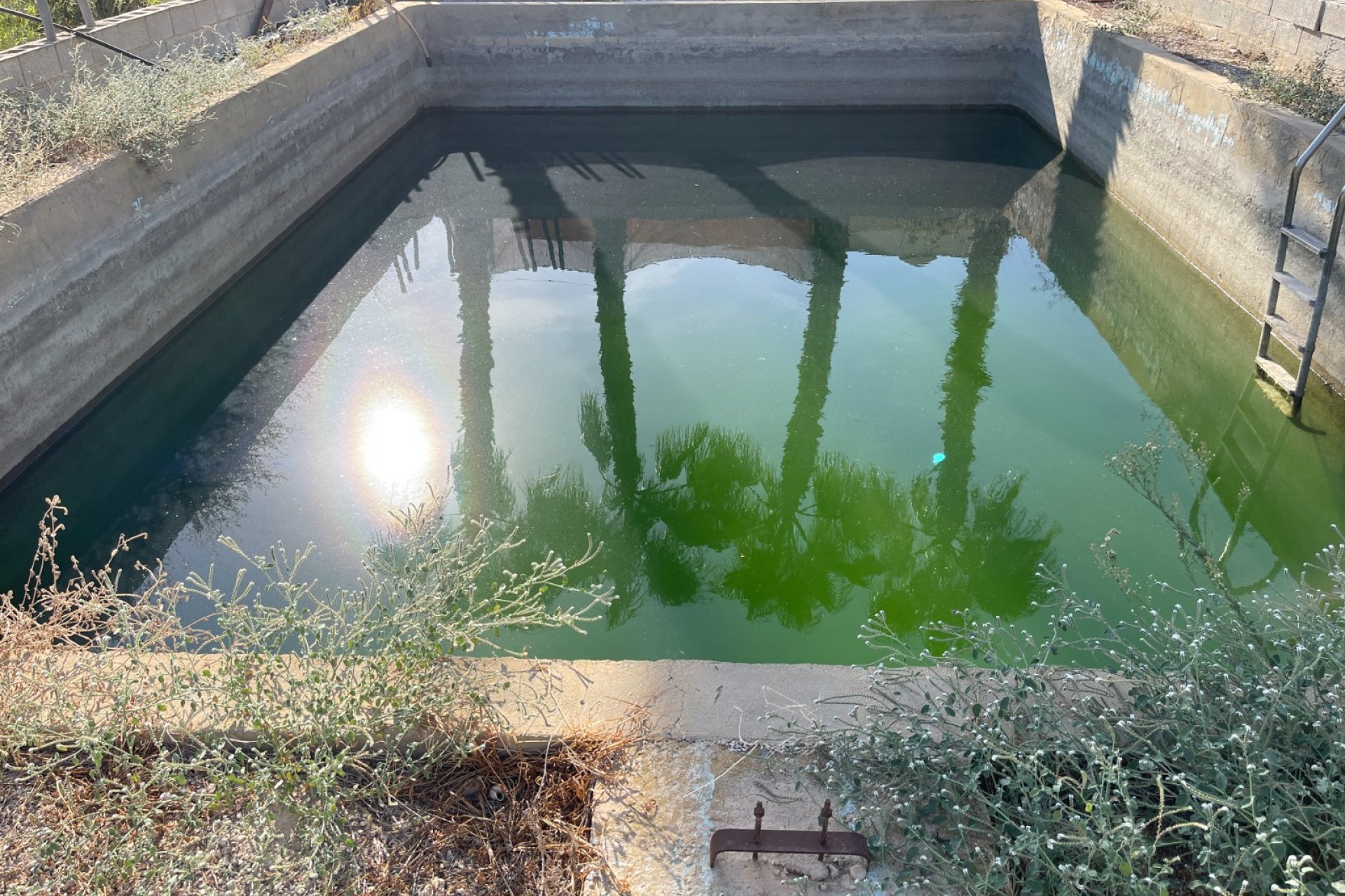 Verkauf - Haus - Crevillente