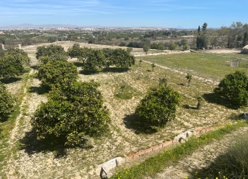Verkauf - Haus - Guardamar del Segura - Valencian Community