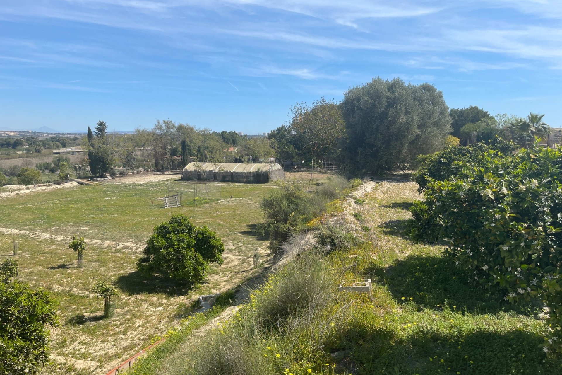 Verkauf - Haus - Guardamar del Segura - Valencian Community