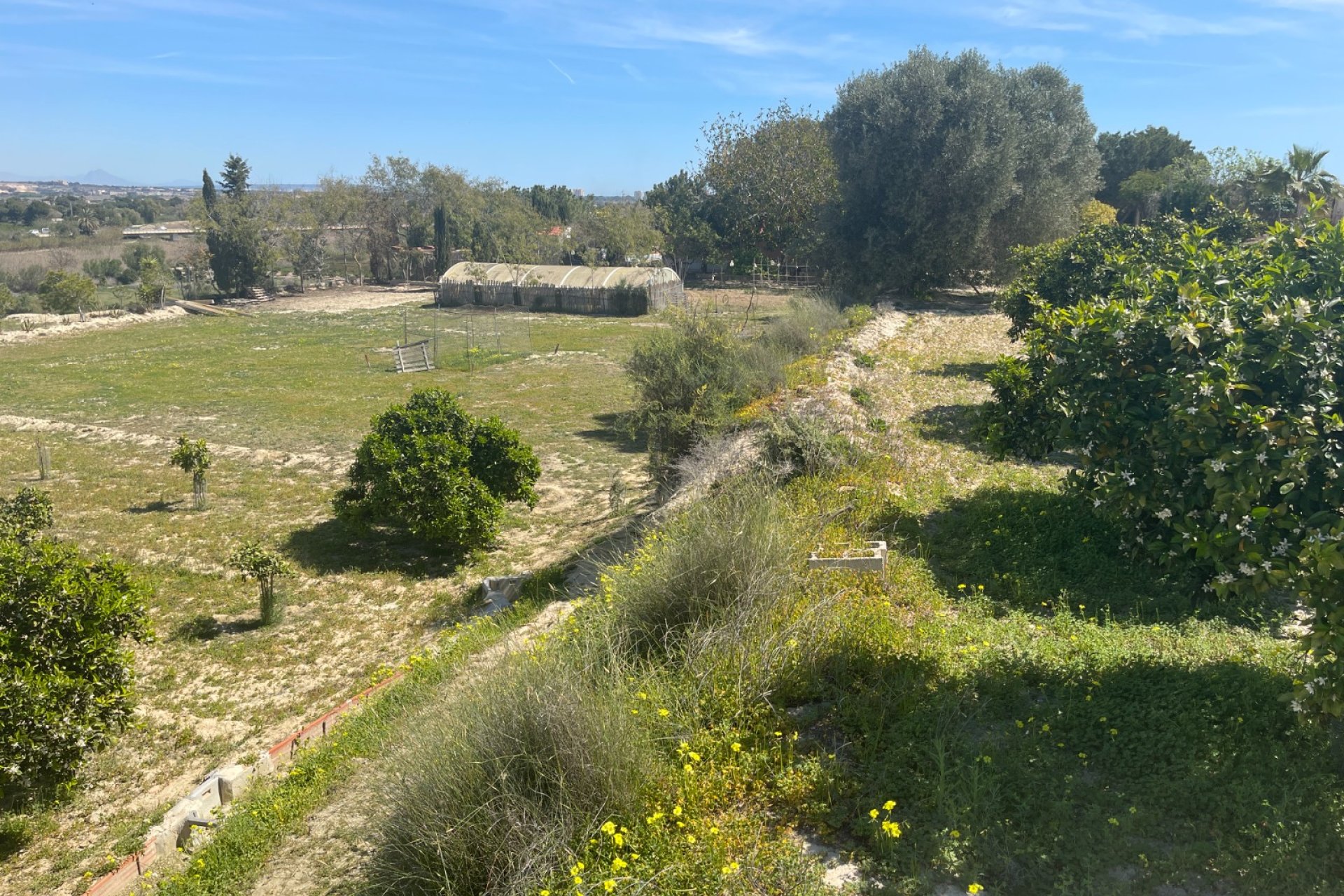 Verkauf - Haus - Guardamar del Segura - Valencian Community
