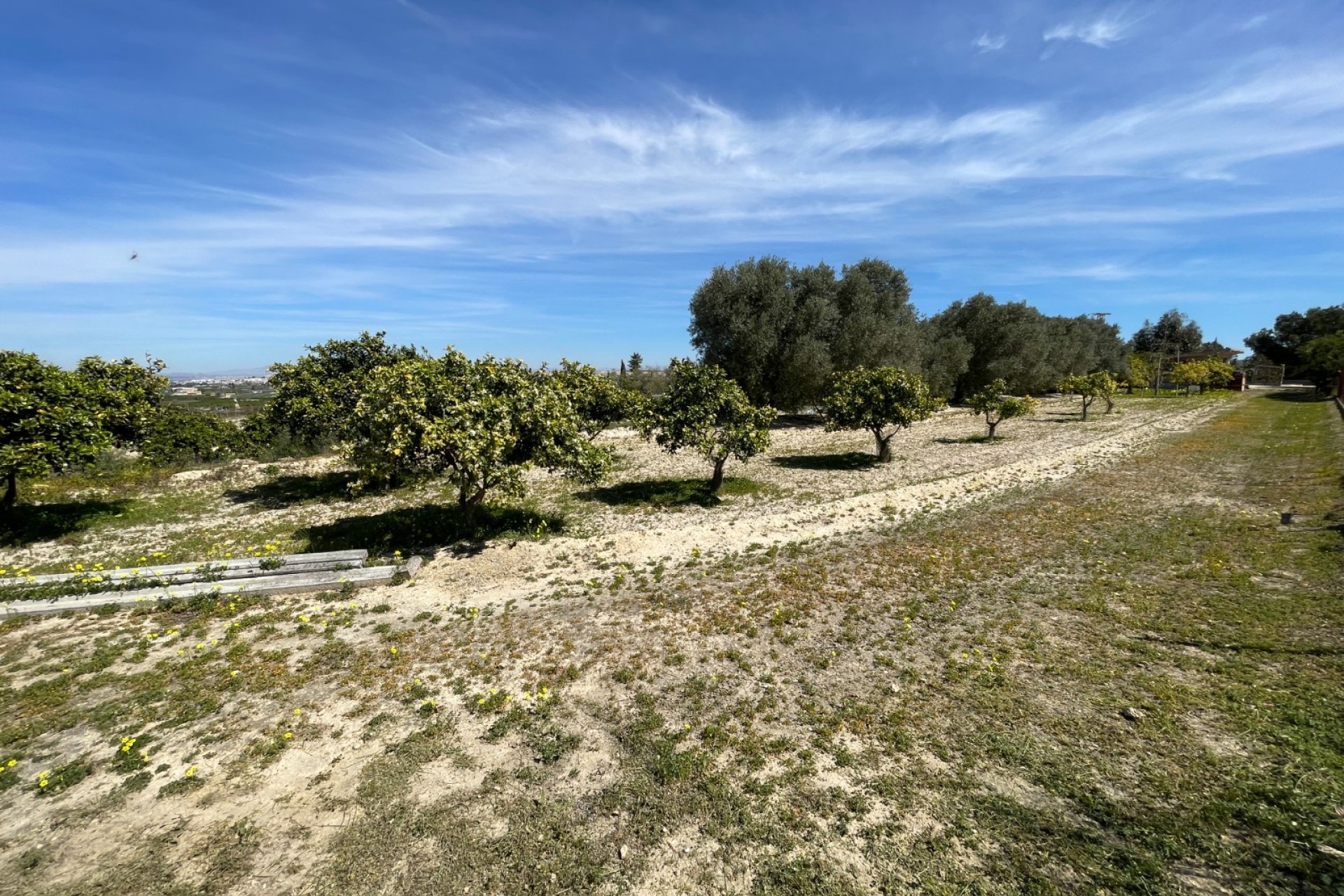 Verkauf - Haus - Guardamar del Segura - Valencian Community