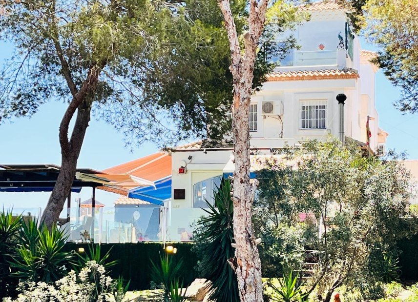 Verkauf - Haus - Orihuela Costa - Montezenia