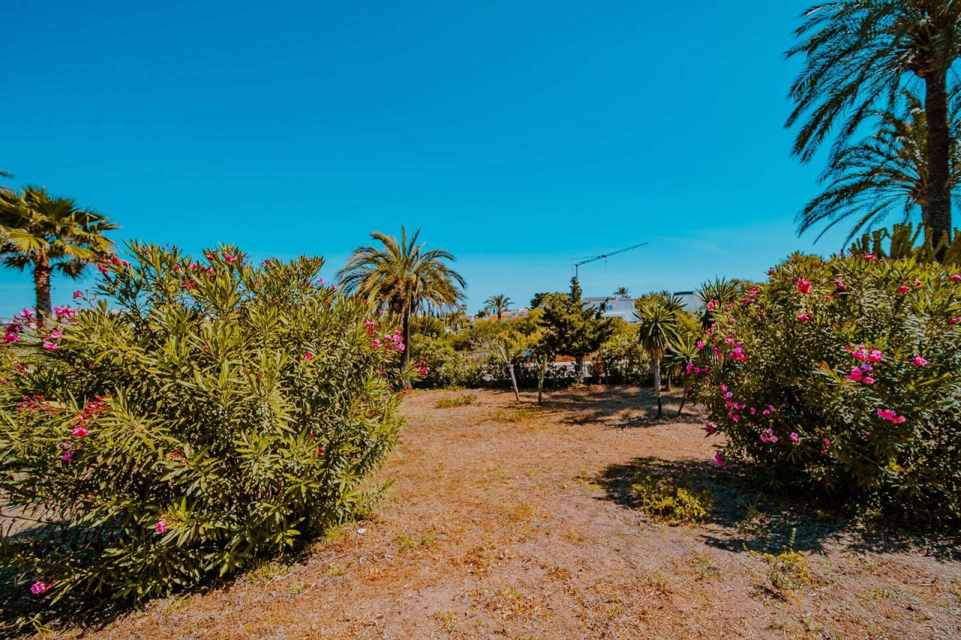 Verkauf - Haus - Orihuela Costa - 