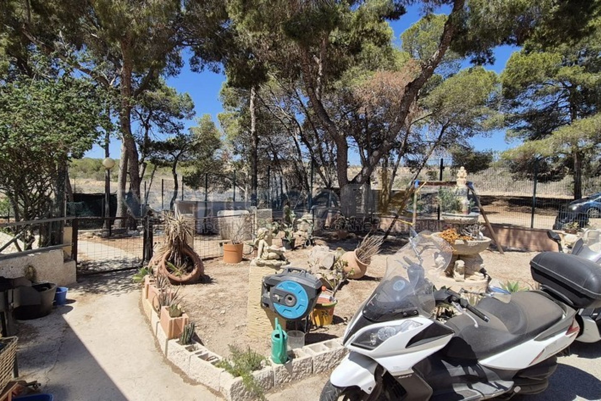 Verkauf - Haus - Torrevieia - 