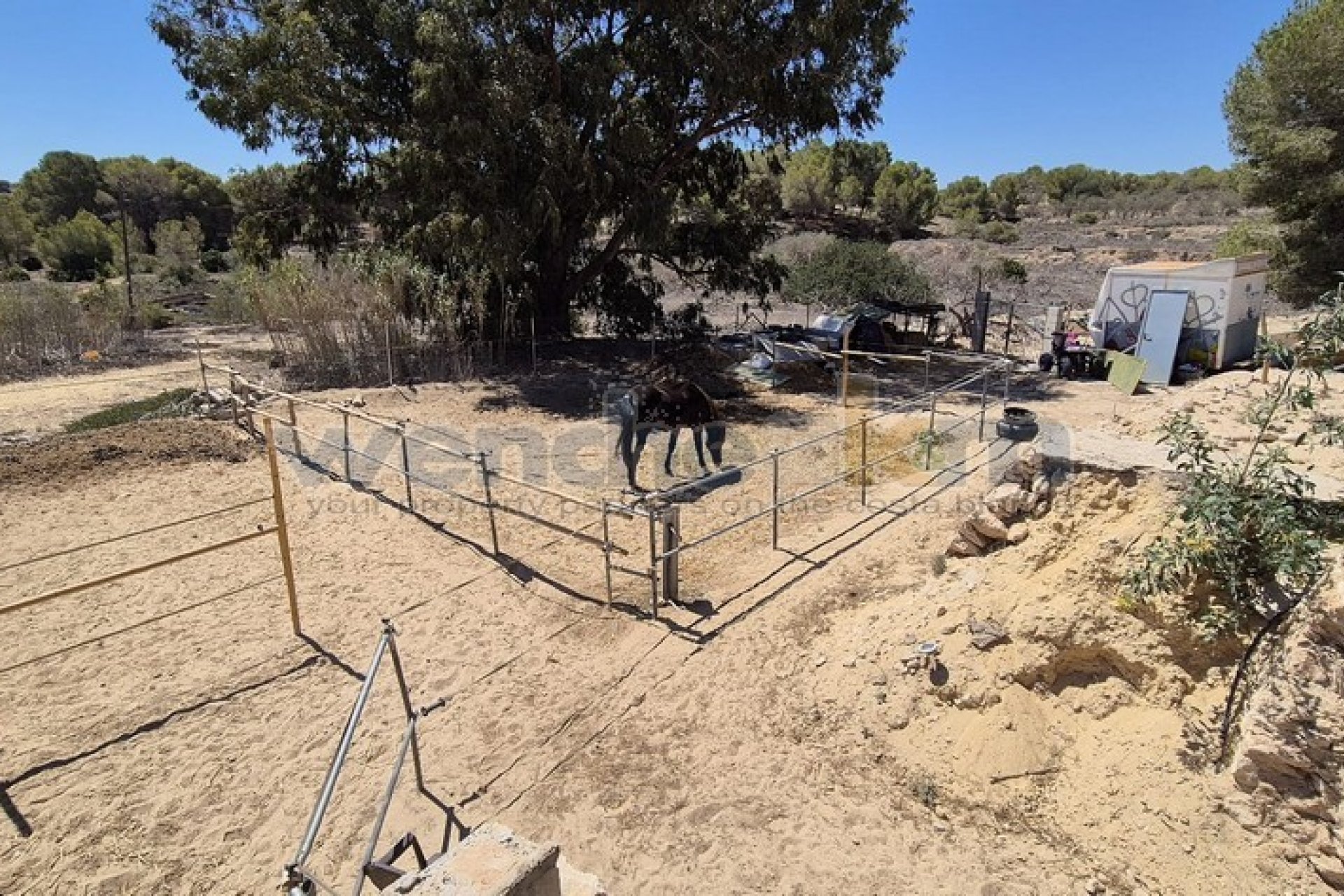 Verkauf - Haus - Torrevieia - 