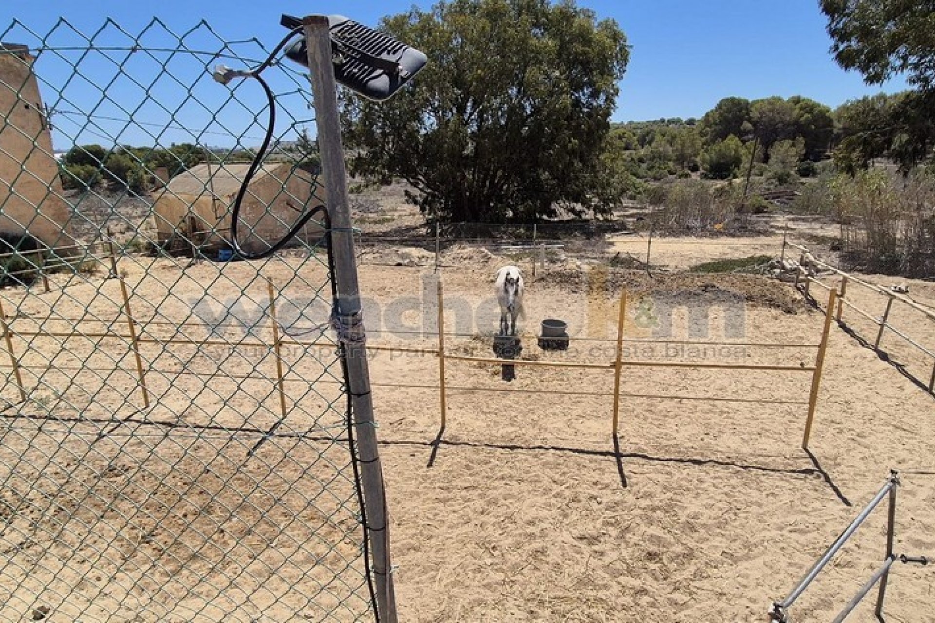 Verkauf - Haus - Torrevieia - 