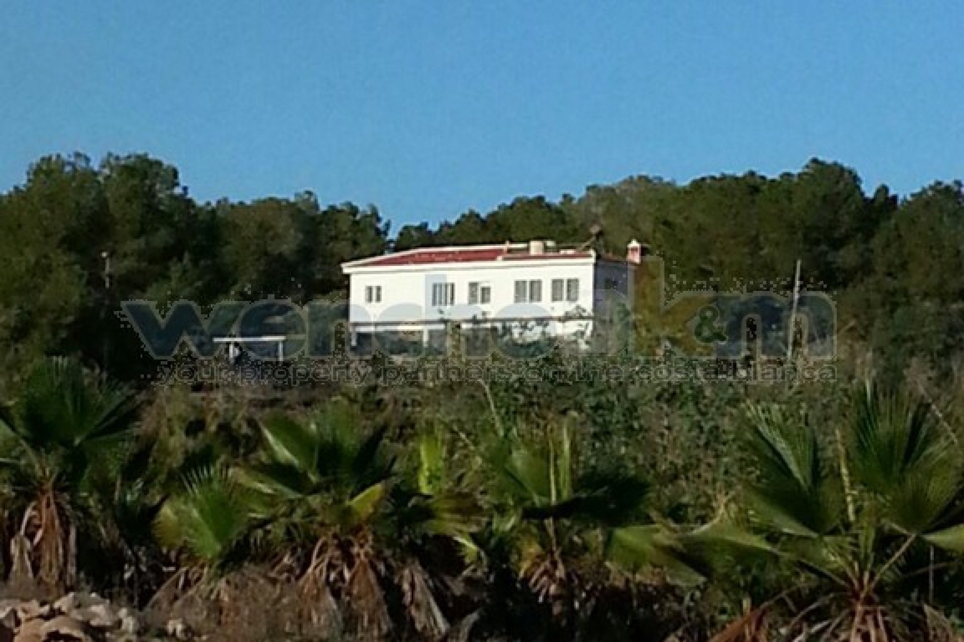 Verkauf - Haus - Torrevieia - 