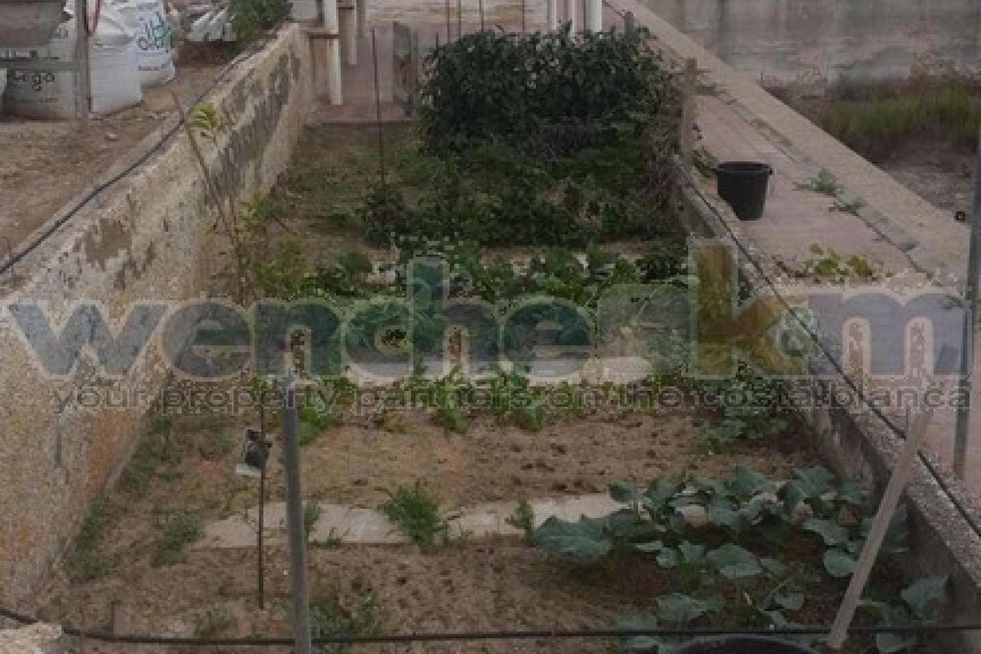 Verkauf - Haus - Torrevieia - 