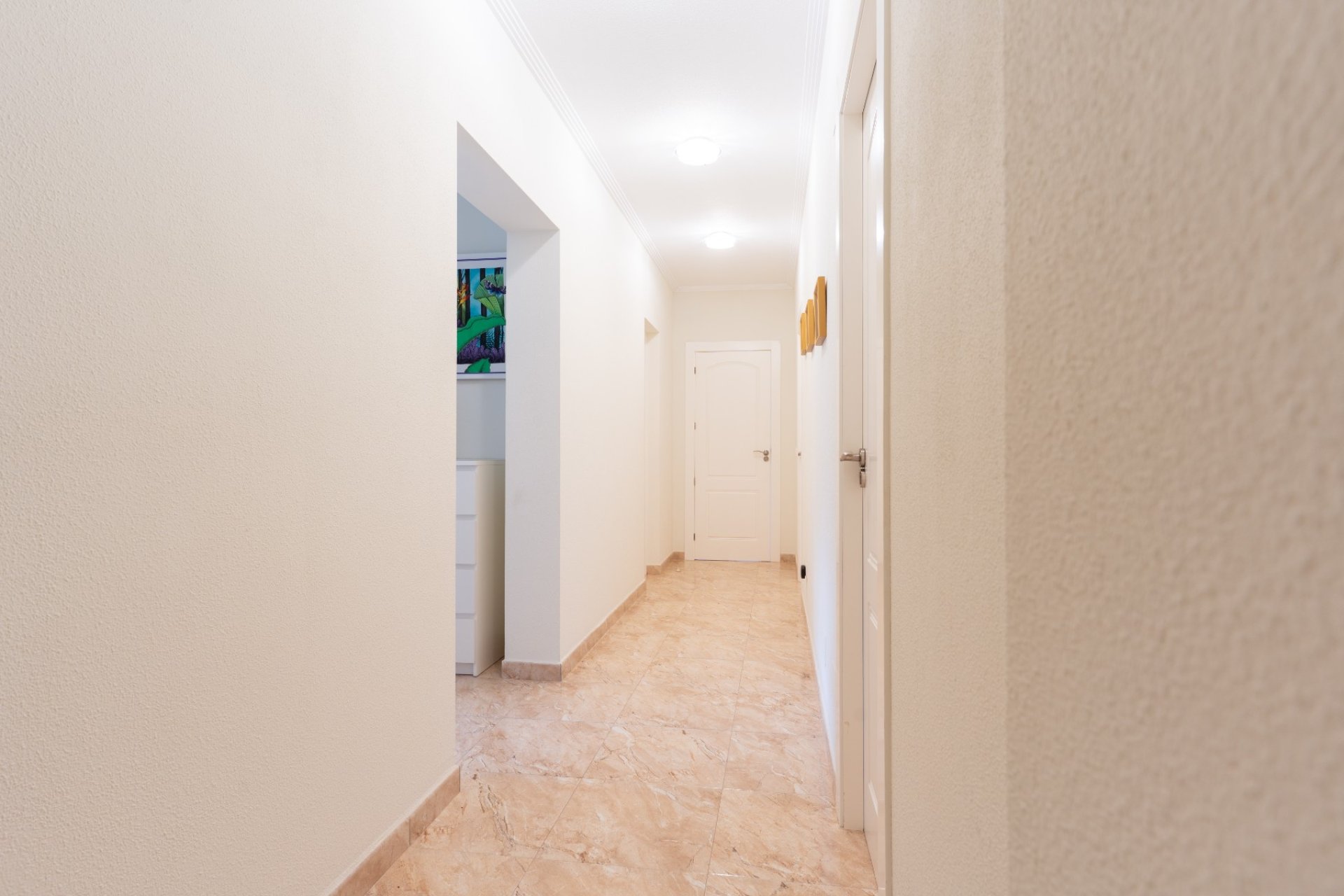 Verkauf - Haus - Torrevieia - 