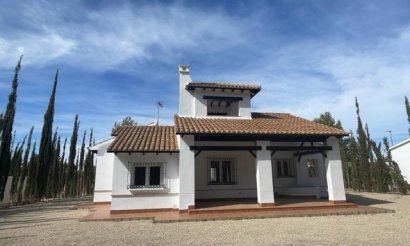 Villa - New Build - Fuente Alamo - Las Palas
