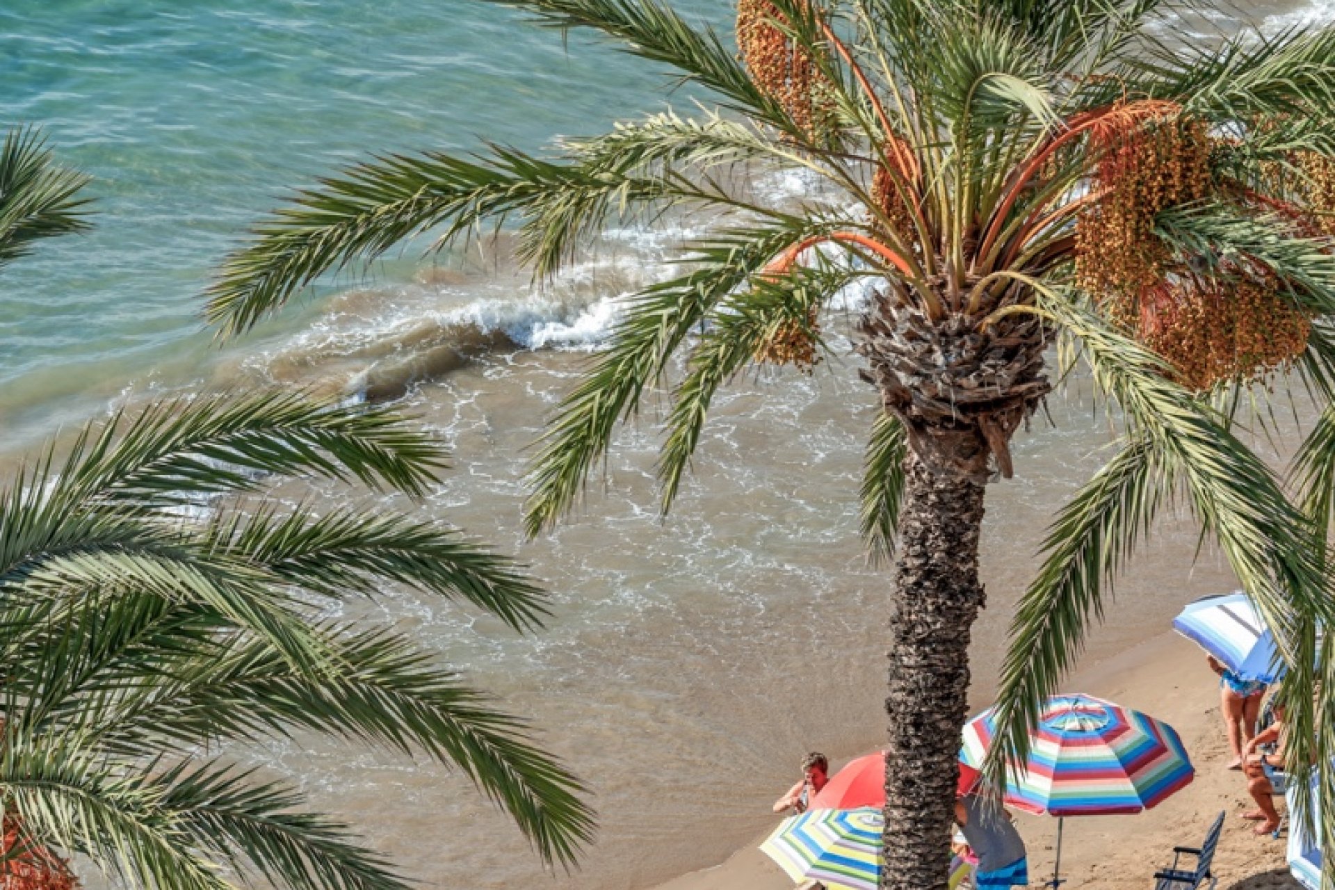 Вторичка - Apartment - Flat - Torrevieia - Torrevieja