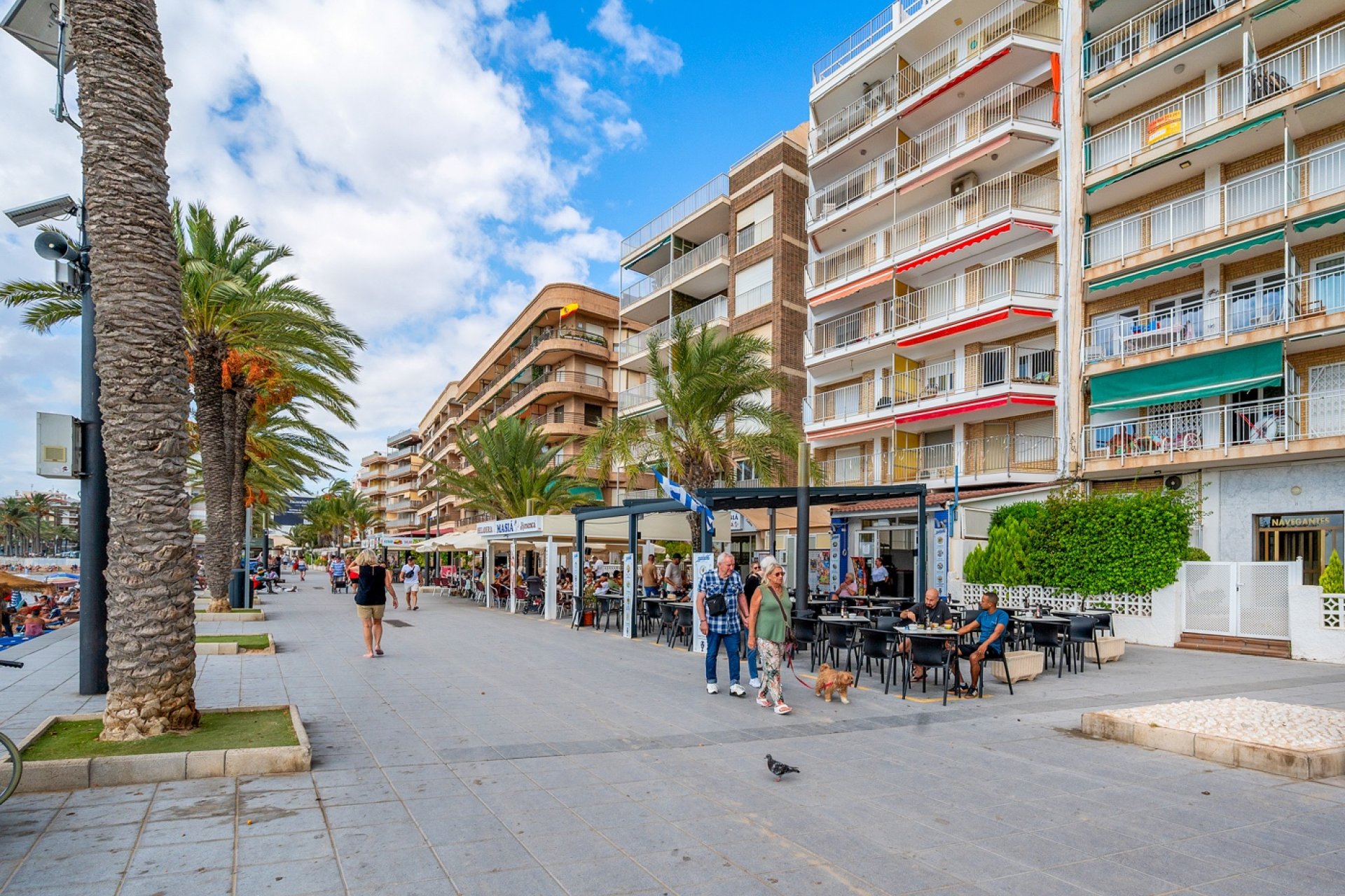Вторичка - Apartment - Flat - Torrevieia - Torrevieja
