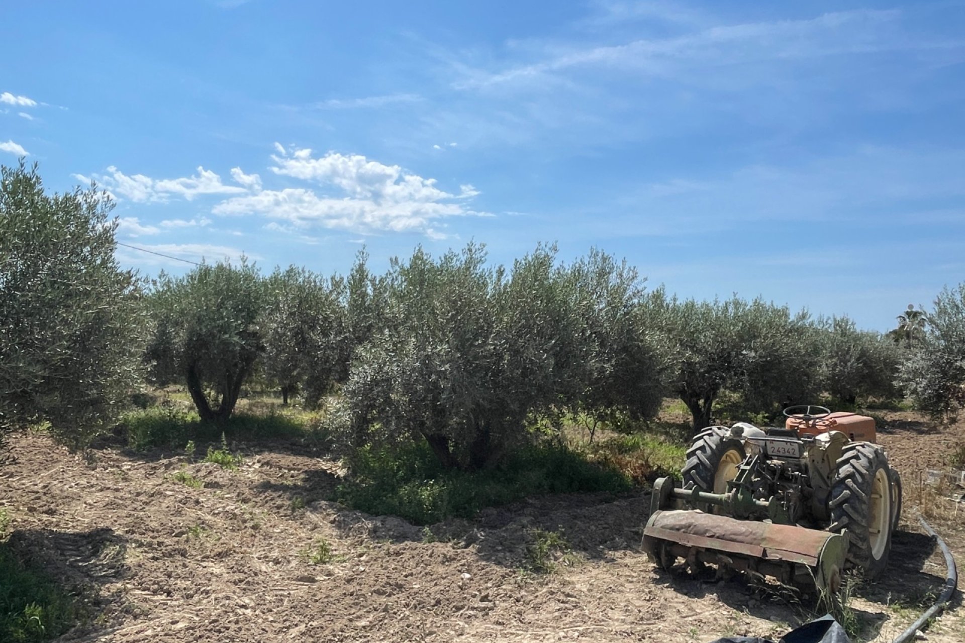 Вторичка - Bилла - Crevillente