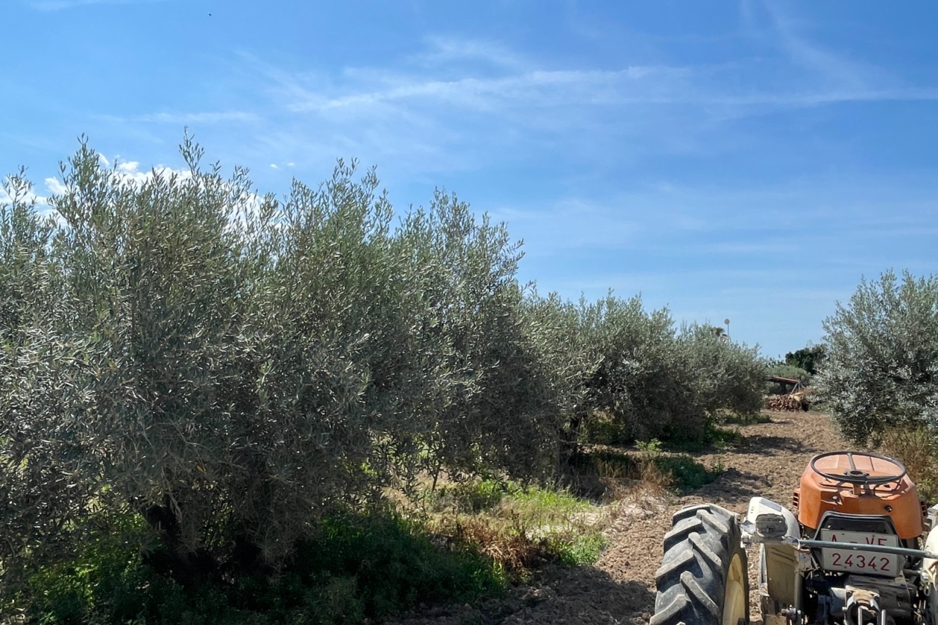 Вторичка - Bилла - Crevillente