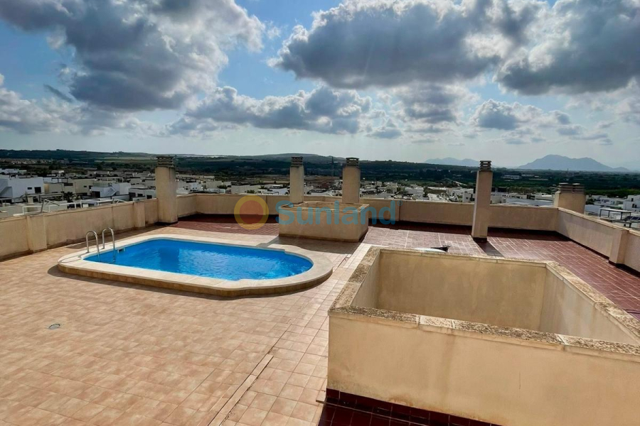 Segunda mano - A - Benijofar - Pueblo 4