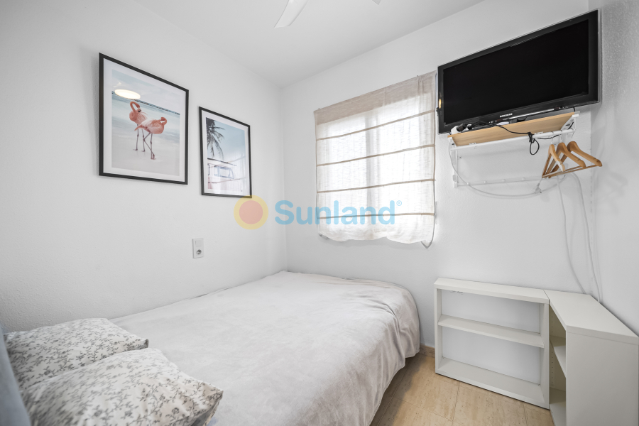 Använda fastigheter - Apartamento - Torrevieja - Centro