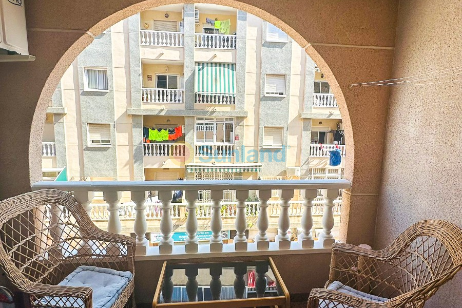 Brukte eiendommer - Leilighet - Torrevieja - Parque de las Naciones