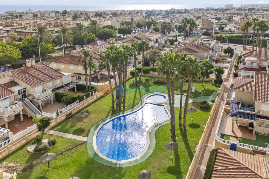 Använda fastigheter - Apartamento - Orihuela Costa - Playa Flamenca