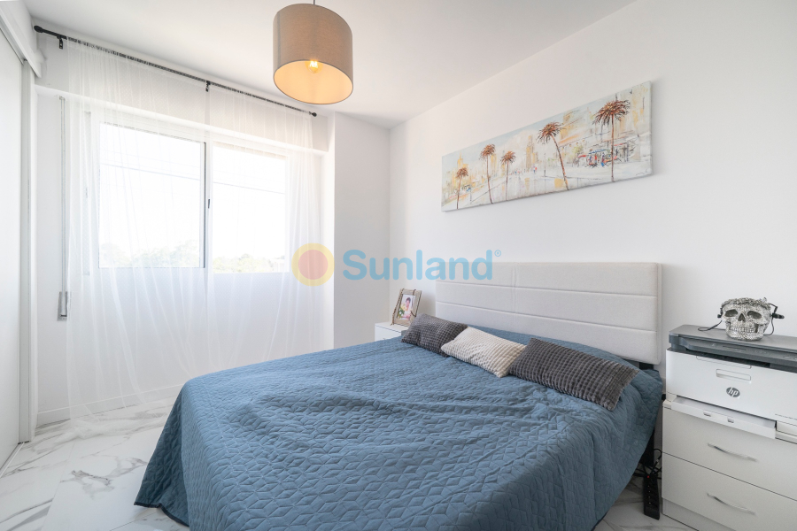 Segunda mano - Flat - Orihuela Costa - Punta Prima