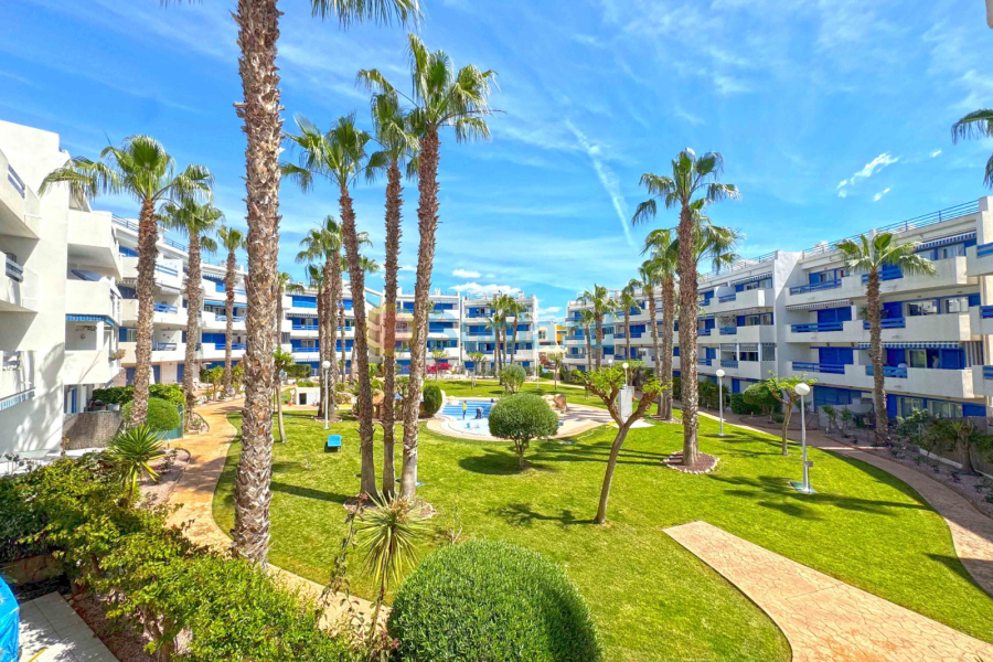 Segunda mano - Apartamento - Orihuela Costa - Playa Flamenca