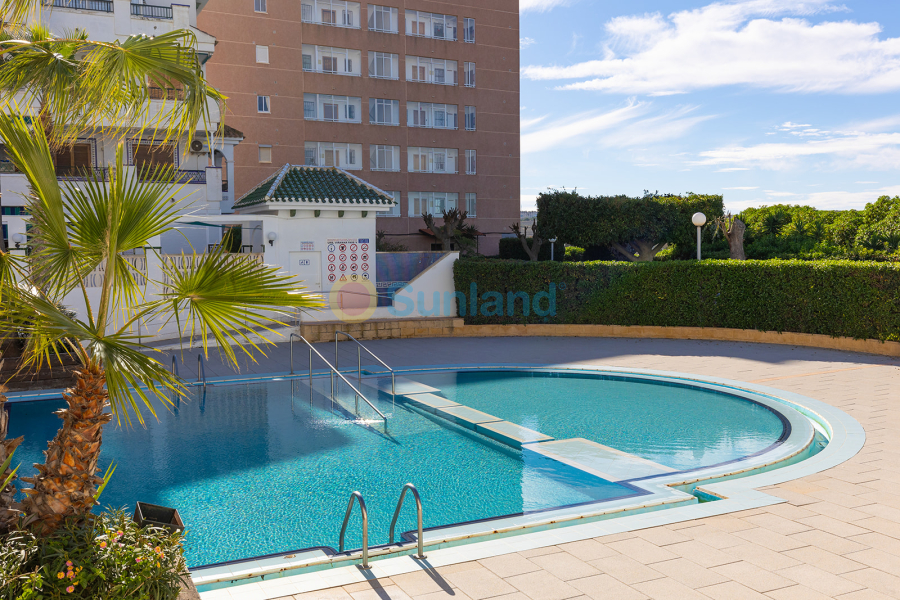 Segunda mano - Apartamento - Torrevieja - La Mata