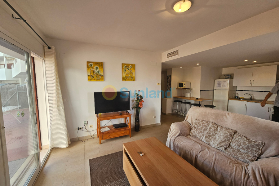 Verkauf - Apartment - Playa Flamenca - El Rincon