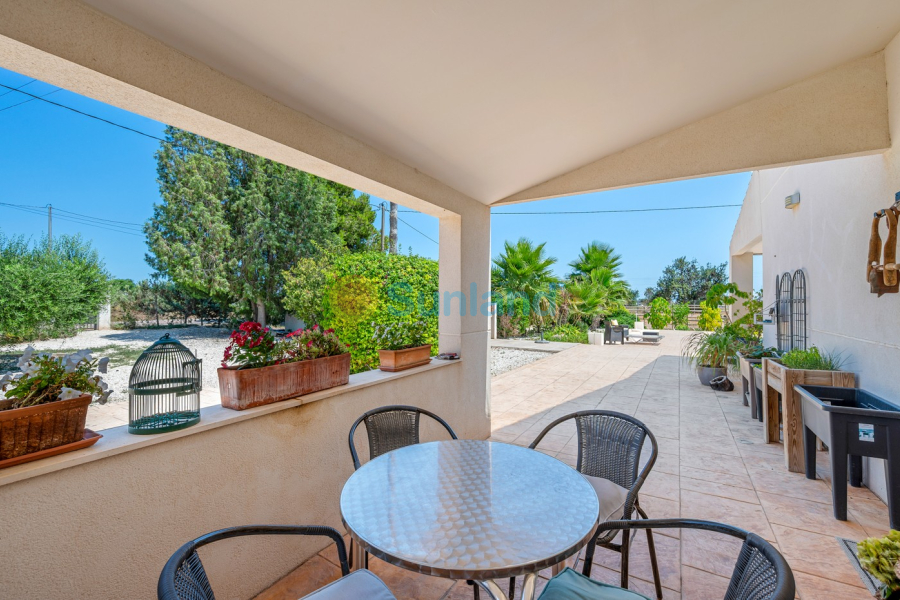 Resale - Country estate - Elche/Elx