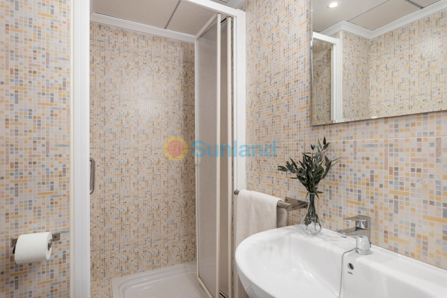 Använda fastigheter - Lägenhet - Guardamar del Segura