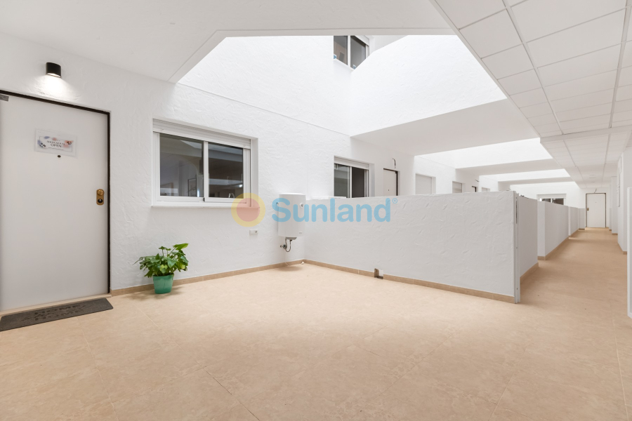 Segunda mano - Apartamento - Orihuela Costa - Lomas De Cabo Roig