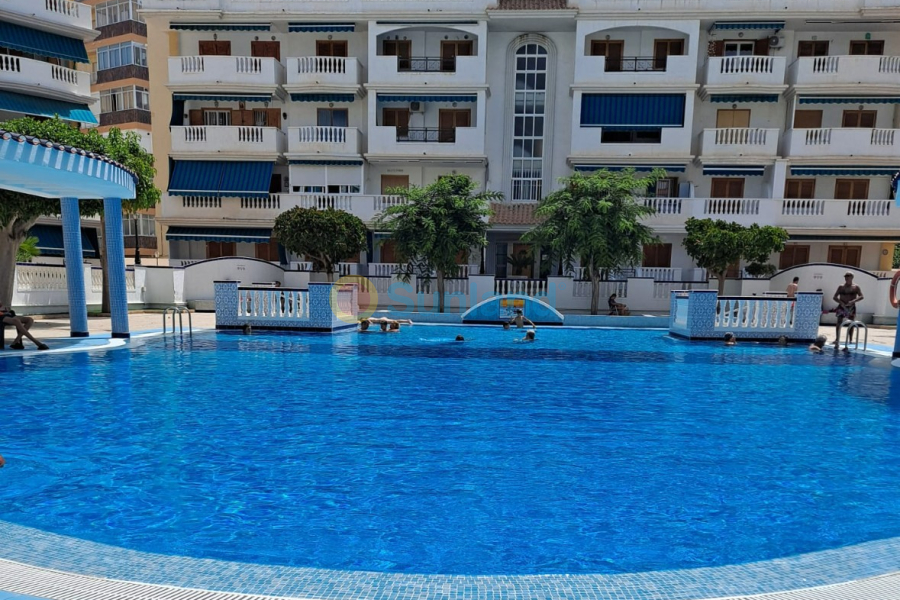 Resale - Apartment - La Mata