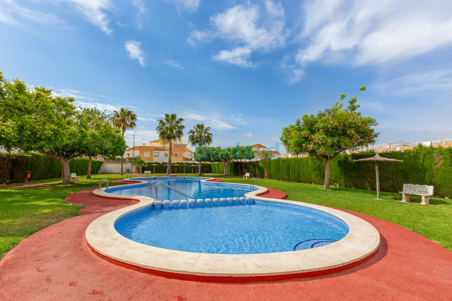 Segunda mano - Adosado - Torrevieja - La Siesta