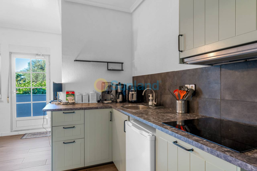 Segunda mano - Country house - Los Montesinos