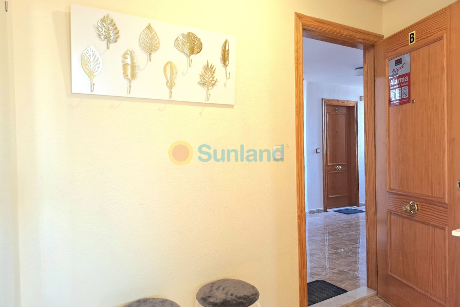 Resale - Apartamento - Torrevieja - Centro