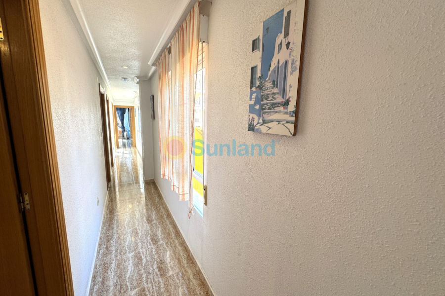 Verkauf - Apartment - Guardamar del Segura - 