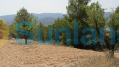 Resale - P - Murcia - 