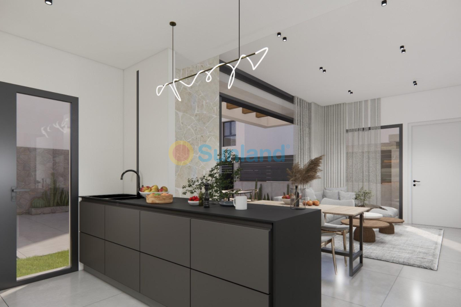 Ny bygg - Villa - Los Montesinos - La Herrada