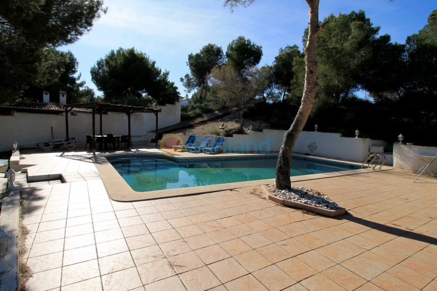 Resale - Villa - Orihuela Costa - Mil Palmeras